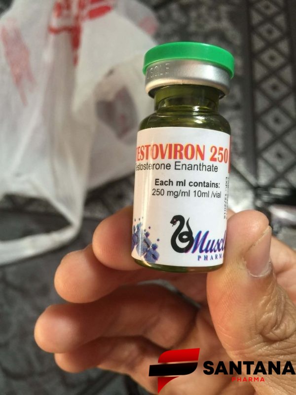 Testoviron (Enantato de Testosterona) 250mg / 10ml - Muscle Pharma - Imagem 2