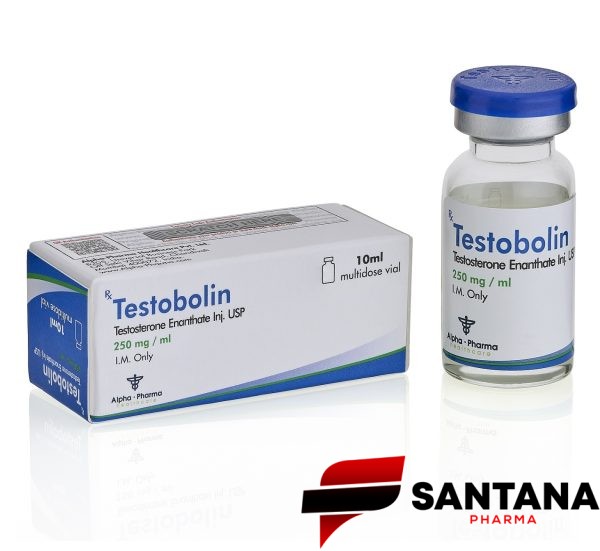 Testobolin (Enantato de Testosterona) - 250mg / 10ml - Alpha Pharma - Imagem 2
