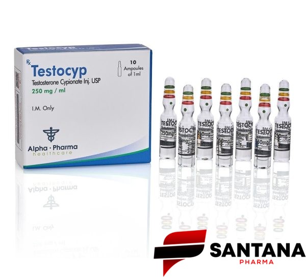 Testocyp (Cipionato de Testosterona) 250mg / 10ml - Alpha Pharma
